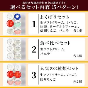 選べるアイス詰め合わせ(6個入り) お取り寄せ...の詳細画像2