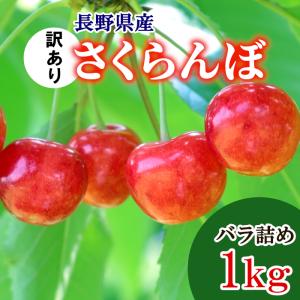 訳あり さくらんぼ 長野県産 (約1kg) サクランボ お取り寄せ ばら詰め：c79-f