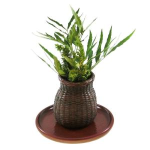 鎌倉彫 7寸丸盆 網代刀痕 伝統工芸品 お盆 ...の詳細画像4