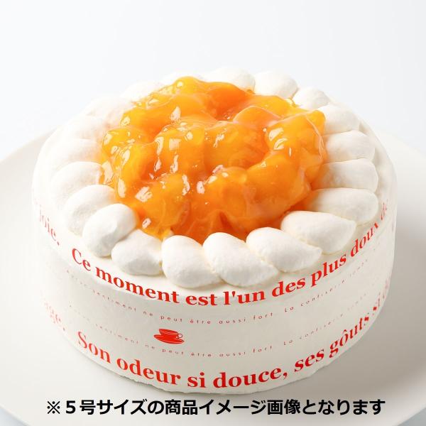 誕生日ケーキ ケーキ 誕生日 デコレーションケーキ バースデーケーキ ホールケーキ お祝い フルーツ...
