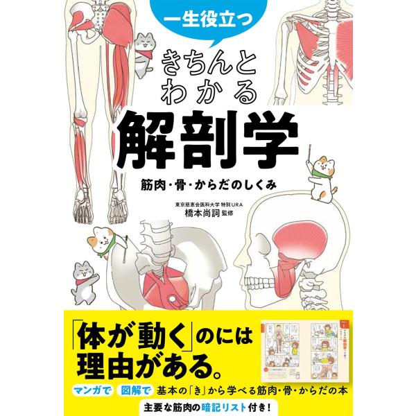一生役立つ きちんとわかる解剖学 筋肉・骨・からだのしくみ