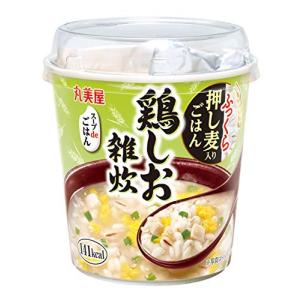 丸美屋食品工業 スープdeごはん鶏しお雑炊 70.3g×6個｜santa-ge
