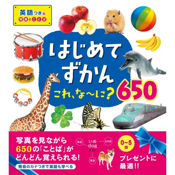 はじめてずかん これ、な~に?650