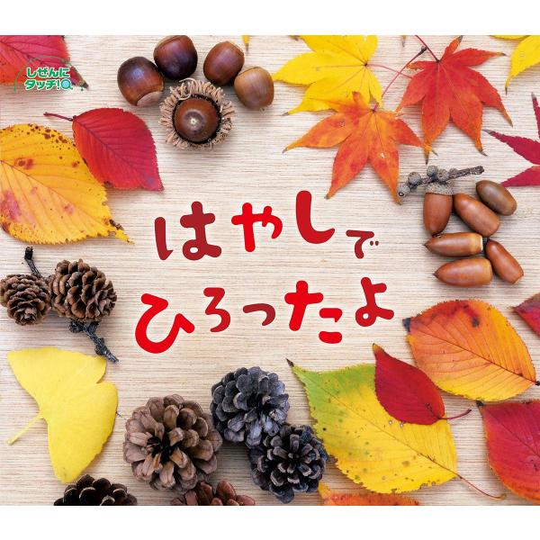 はやしでひろったよ (しぜんにタッチ ×植物【3歳・4歳・5歳からの写真絵本】