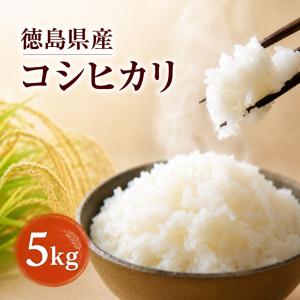 コシヒカリ 贈答 ギフト 令和7年 2025 佐渡産 新潟県産 精米 3kg