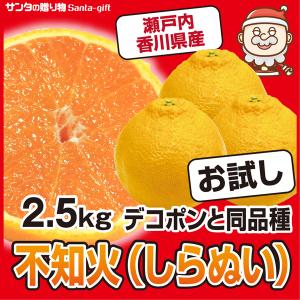 広島県産 訳あり 徳さんのジャンボレモン10kg 国産レモン 送料