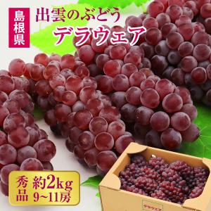 予約 デラウェア 秀品 約2.0kg(9~11房)】島根県 出雲市産 デラウェア産地 産地直送｜santa-gift