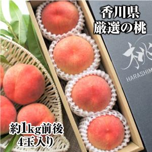 おかき せんべい 工場直売 お菓子 人気 グルテンフリー アーモンド
