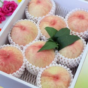 翌営業日までに発送 秀品 大玉 香川県のもも 2kg 6玉 お中元にも最適 産地直送 甘い 新鮮 四国の桃