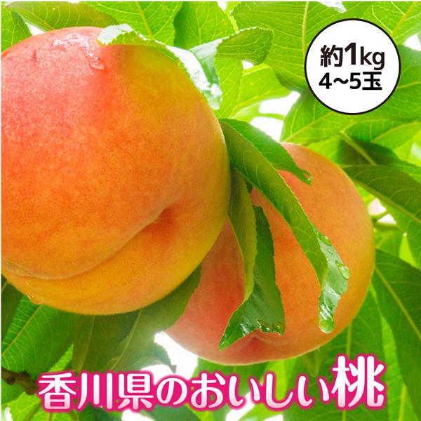 桃 もも 香川県産 4〜5玉 きれい 約1kg 甘い 人気 贈答 産地直送