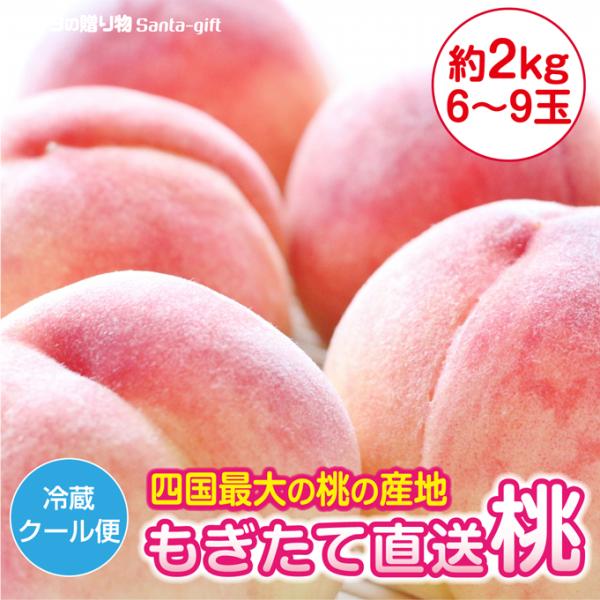 桃 もも 香川県産 6〜9玉 きれい 2kg 飯山の桃 贈答 産地直送