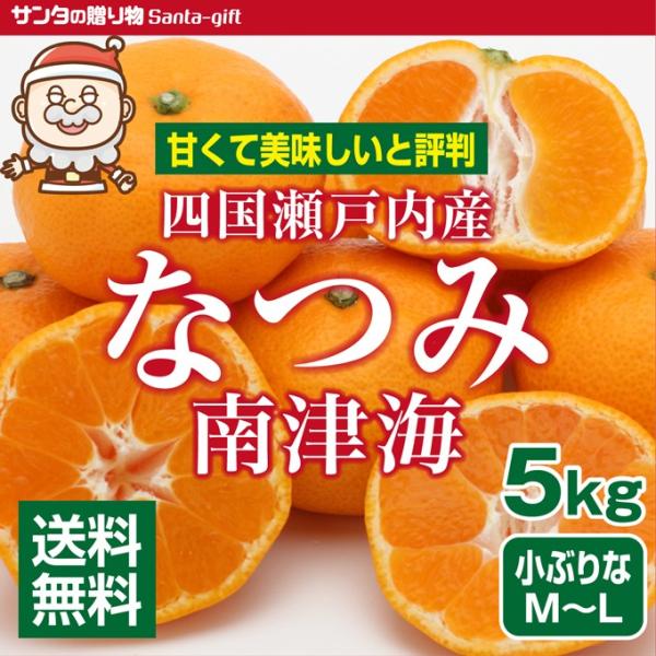 なつみ クール便 シミありサイズ混合 訳あり 約5kg 瀬戸内産 柑橘 送料無料