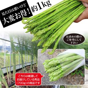 アスパラ さぬきのめざめ 約1kg 特価 太さ...の詳細画像2