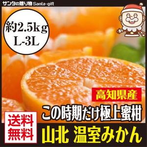 山北温室みかん  高知県産 極上の蜜柑 お手頃な量 約2.5kg｜santa-gift