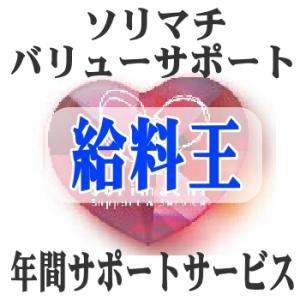 ソリマチ バリューサポート 給料王【送料無料・メーカー直送】