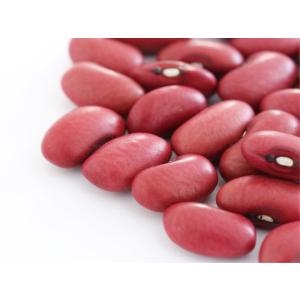 十六ささげ豆 200g 有機JAS オーガニッ...の詳細画像1