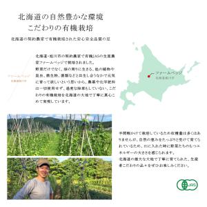 十六ささげ豆 200g 有機JAS オーガニッ...の詳細画像4