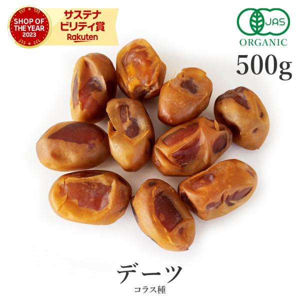 ドライフルーツ デーツ 種あり 無添加 500g ドライデーツ 砂糖不使用 無漂白 オーガニック 有...