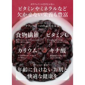 ドライクランベリー 100g 有機JAS オー...の詳細画像5
