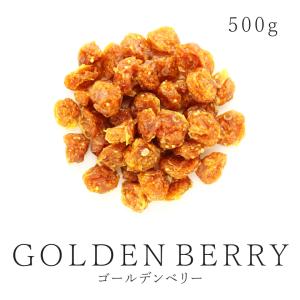 純粋 ドライゴールデンベリー 500g 農薬不使用 ドライフルーツ インカベリー 食用ほおずき 砂糖不使用 無添加｜santarosa