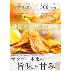 ドライマンゴー 100g 有機JAS オーガニ...の詳細画像1