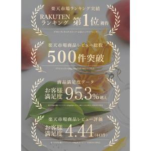 ドライマンゴー 100g 有機JAS オーガニ...の詳細画像2