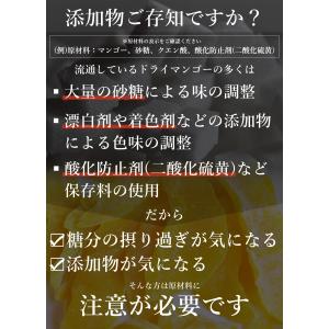ドライマンゴー 100g 有機JAS オーガニ...の詳細画像3