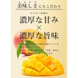 ドライマンゴー 100g 有機JAS オーガニ...の詳細画像4