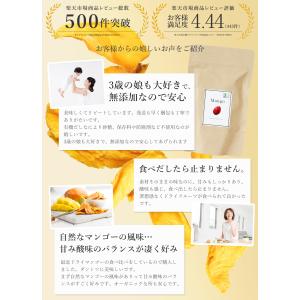 ドライマンゴー 100g 有機JAS オーガニ...の詳細画像5
