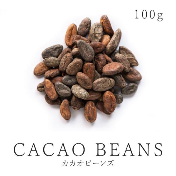 カカオビーンズ カカオ豆 100g ナッツ ロースト 高カカオ ハイカカオ 農薬不使用