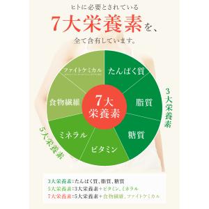 モリンガパウダー 100g 有機JAS オーガ...の詳細画像4