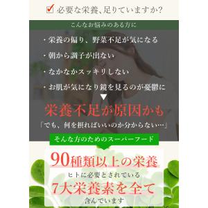モリンガパウダー 100g 有機JAS オーガ...の詳細画像2