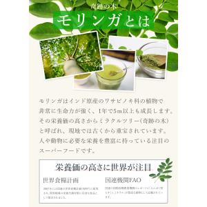 モリンガパウダー 100g 有機JAS オーガ...の詳細画像3