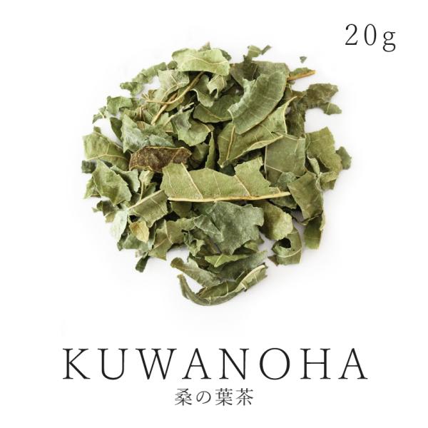 桑の葉茶 20g マルベリーリーフ 農薬不使用 無肥料 自然栽培 健康茶 ノンカフェイン