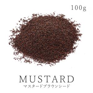 マスタードシード 100g マスタード 高品質 農薬不使用 無添加 スパイス ブラウンマスタード  粒マスタード 洋がらし マスタードブラウン ハーブ サンタローサ｜santarosa