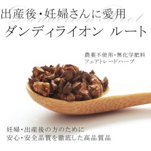 たんぽぽ茶 100g ダンデライオンルート 農...の詳細画像2
