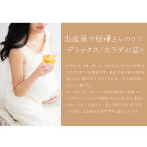 たんぽぽ茶 100g ダンデライオンルート 農...の詳細画像3