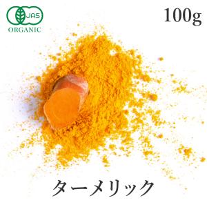 ターメリックパウダー 100g ターメリック ウコン 粉末 スパイス 無添加 オーガニック 有機JAS 香辛料