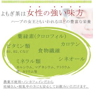 高原の新芽 よもぎ 茶 40g よもぎ茶 無添...の詳細画像3