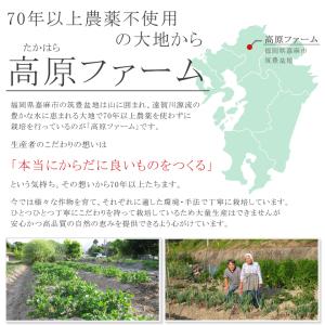 高原の新芽 よもぎ 茶 40g よもぎ茶 無添...の詳細画像4