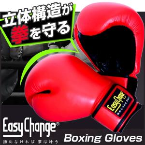 ボクシンググローブ EasyChange イージーチェンジ TTタイプ 10オンス 12オンス (ボクササイズ フィットネス パンチンググローブ 打撃 練習)