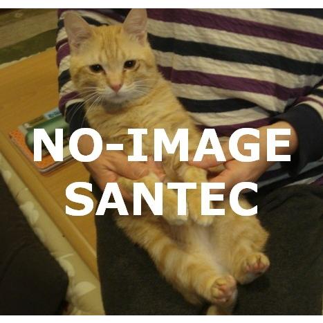 低水素棒 先端加工棒(P加工) アーク溶接棒 20kg分 (加工のみ・要溶接棒同時ご注文) KOBE...