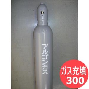 窒素ガス 充填 / 1.5m3 (1,500リッター) 10L型 : 溶接用品プロ 窒素ガス 充填 / 1.5m3 (1,500リッター) 10L型 : 溶接用品プロ