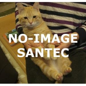 ガスボンベ 容器検査の商品画像