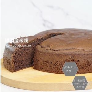 ヴィーガン ビーガン チョコ チョコレートケーキ の商品一覧 スイーツ 洋菓子 食品 通販 Yahoo ショッピング