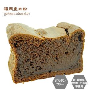 グルテンフリー ヴィーガン 福岡産米粉100% ガトーショコラ｜santecafemaru