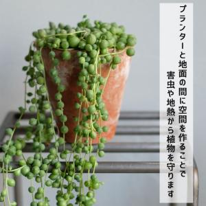 KNOP plant stands Mサイズ ...の詳細画像5