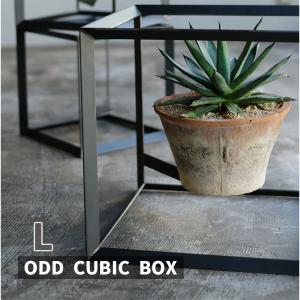 ODD CUBIC BOX(L) ディスプレイボックス アイアン キューブ 鉢植え ガーデニング 4589824362915 ウエストビレッジ｜santecdirect