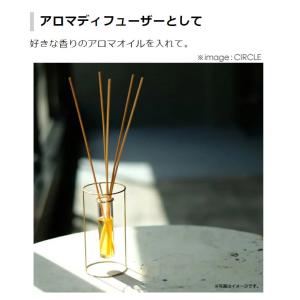 一輪挿し PIKE stand brass v...の詳細画像5