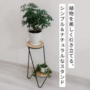 フラワースタンド ダブルフロア HIGH アイ...の詳細画像1